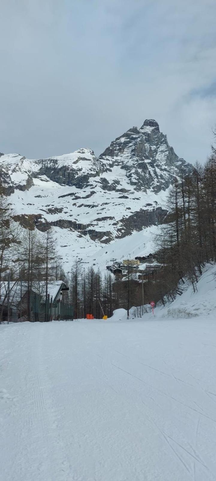 Monolocale Sulle Piste Del Cervino Rododendro Apartment